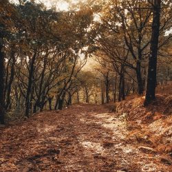 Stop Ignoring These 7 Inspiring Truths (and Become Your Best Self Today)