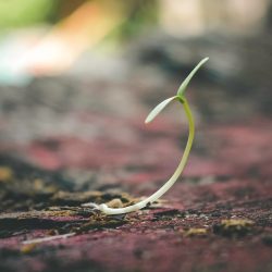 How to be 1% Better Every Day